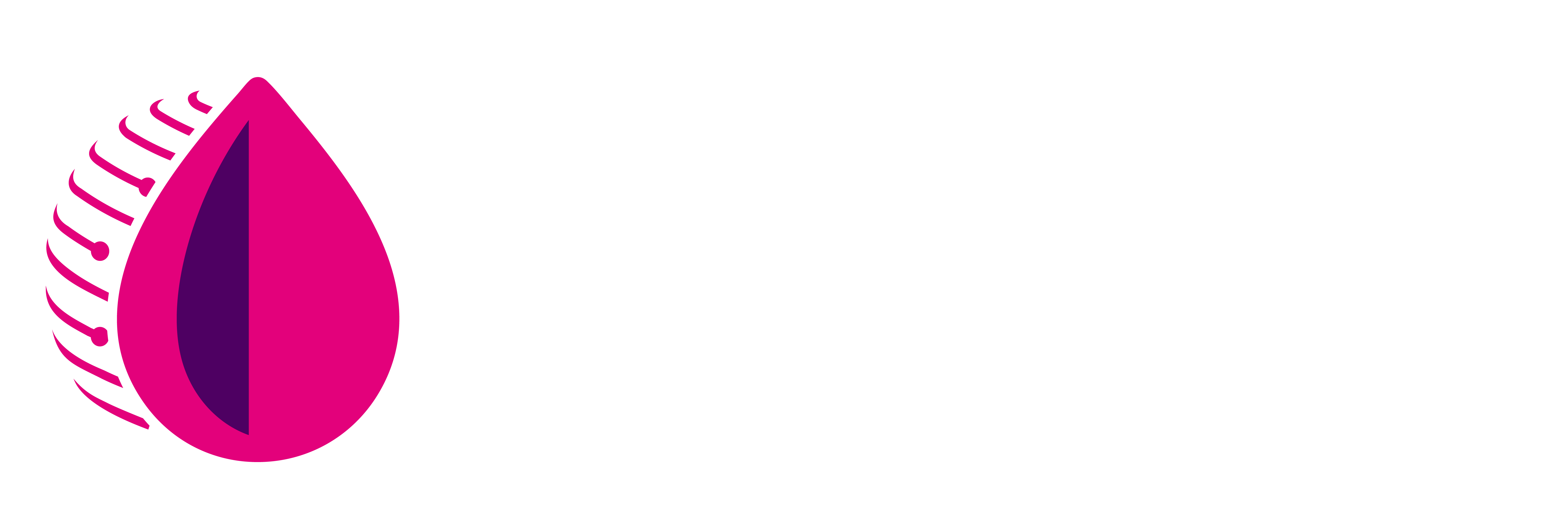 Kapo Digital