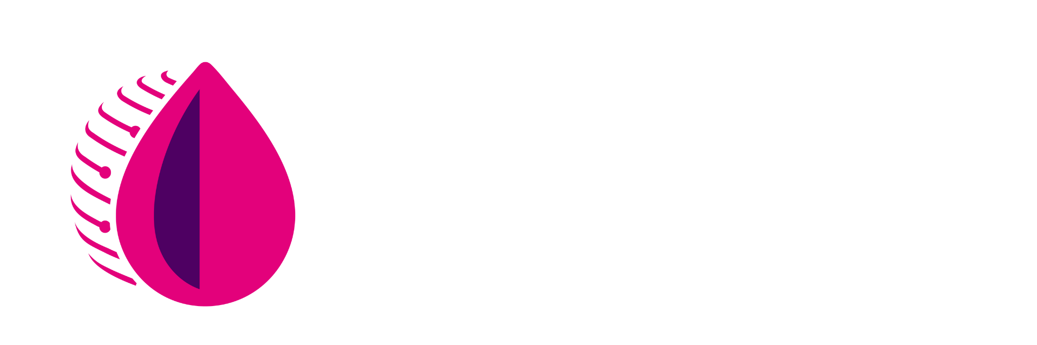 Kapo Digital